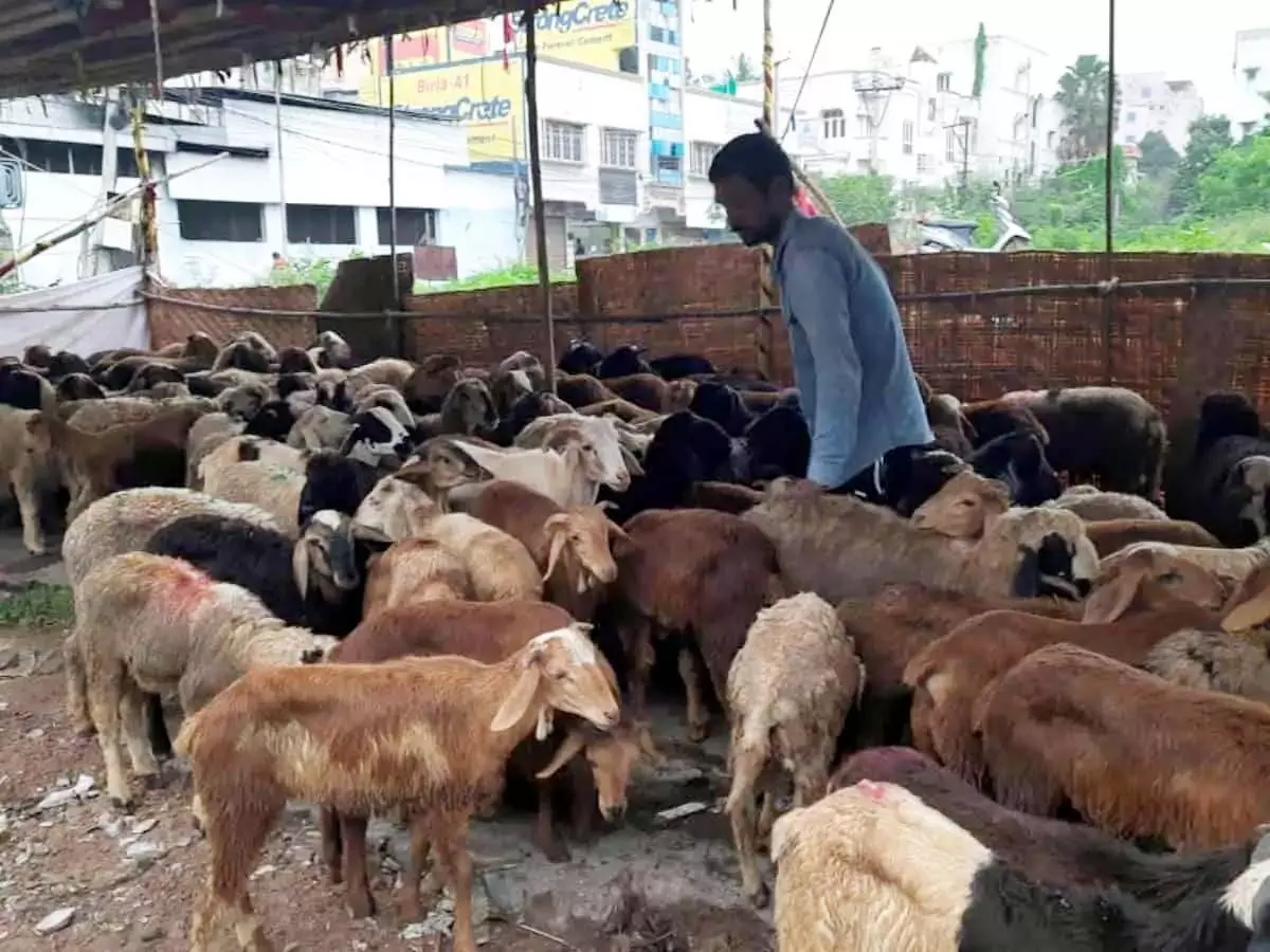 Telangana News: तेलंगाना सरकार ने बकरीद के लिए अवकाश घोषित किया