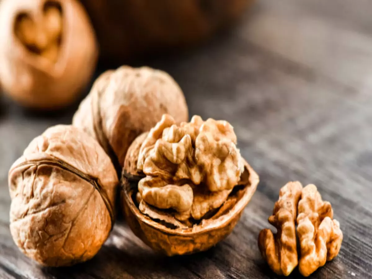 Walnut benefits : खाली पेट अखरोट तो आपके शरीर को मिलेंगे ढेरों फायदे