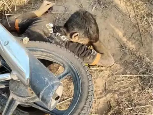 Road Accident: डिवाइडर से टकराई बाइक, 2 युवकों की मौत