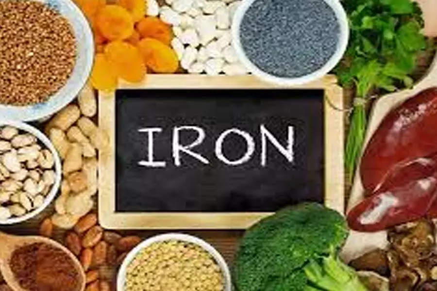 Iron Rich Foods: जानें हीमोग्लोबिन से जुड़ी आयरन वाले फ़ूड का लाभ