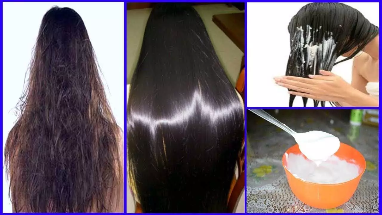 Make hair long and black: बालों को लंबा, घना और शाइनी बनाने के लिए इन नेचुरल चीज़ो का करें इस्तेमाल