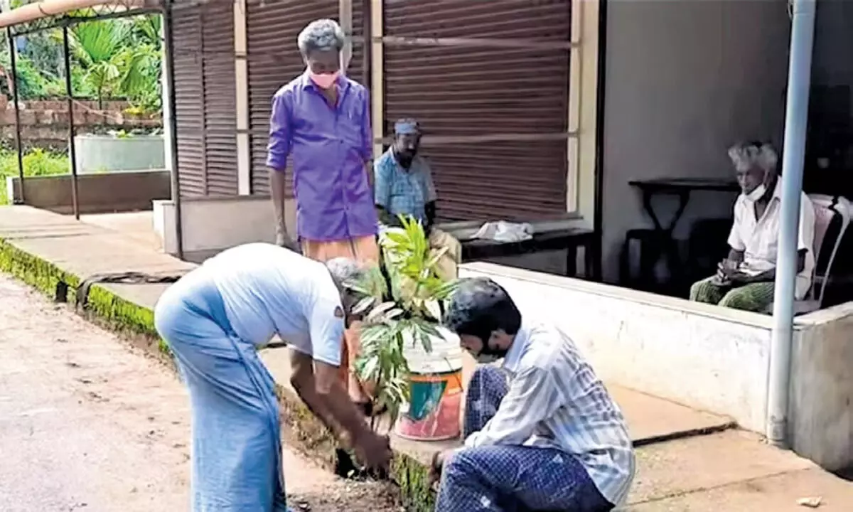 Kerala news: कन्नूर के शिक्षक की पर्यावरण-अनुकूल परियोजना तेजी से आगे बढ़ रही