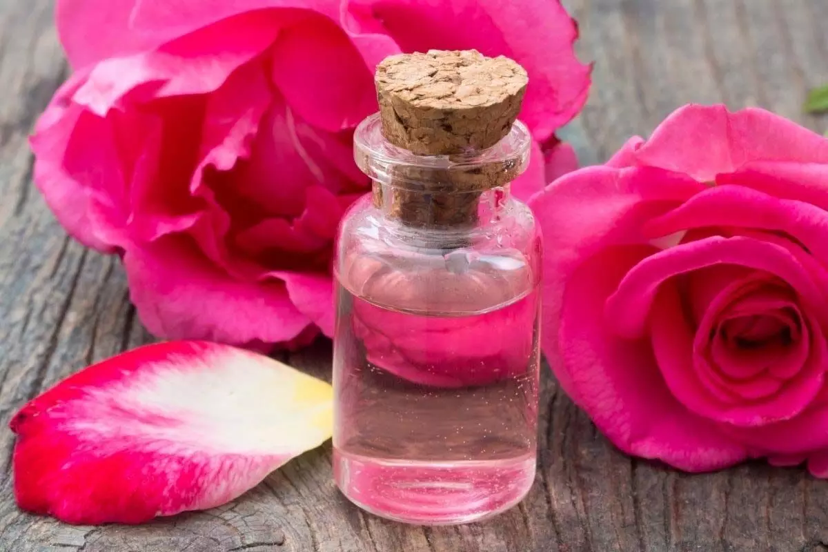 Benefits of Rose water: क्या आप भी इस्तेमाल करते ह गुलाब जल तोह जानिए इनके अनोखे फायदे