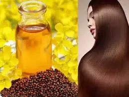 Hair Care: सरसों का तेल आपके बालों को काला करने में करेगा फायदा जाने कैसे