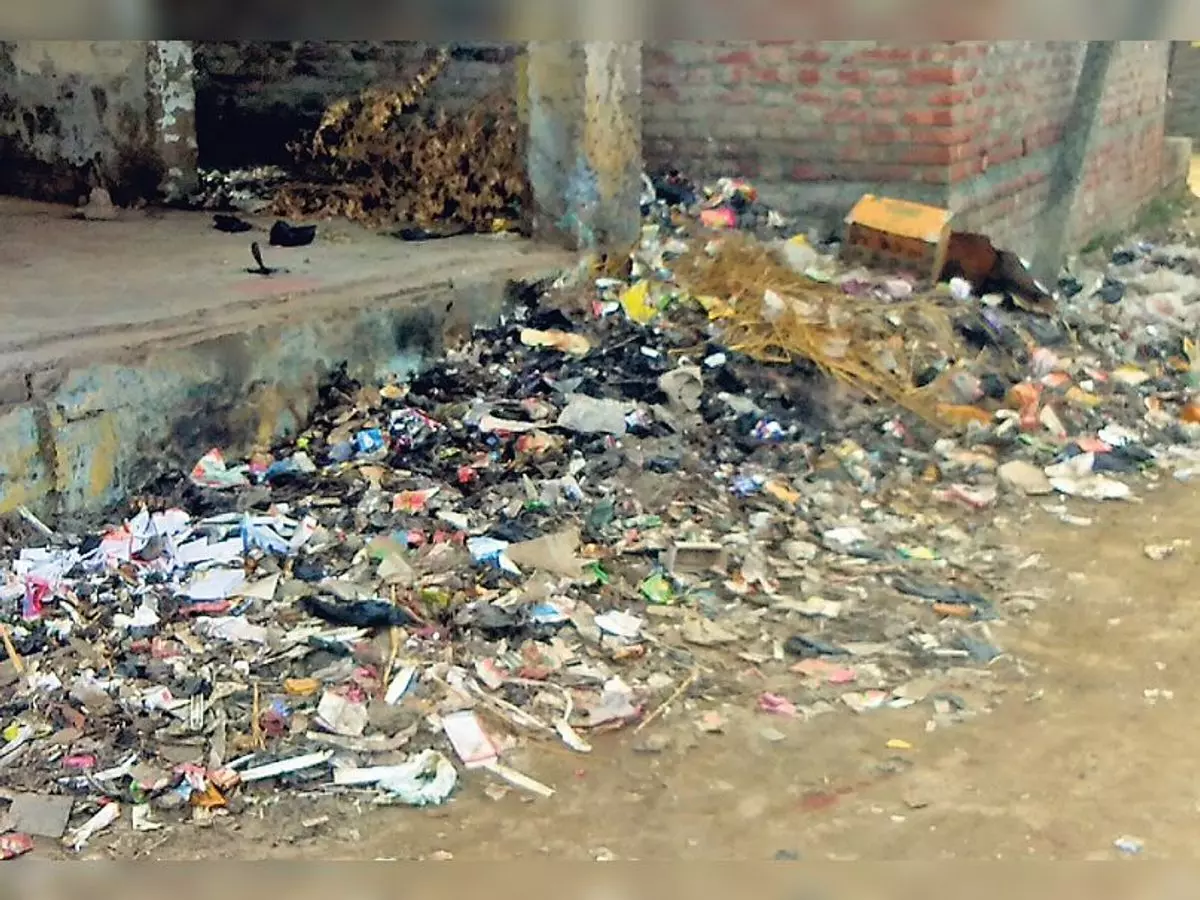 Madhubani: पंचायतों में नहीं हो रहा कचरा प्रबंधन का कार्य