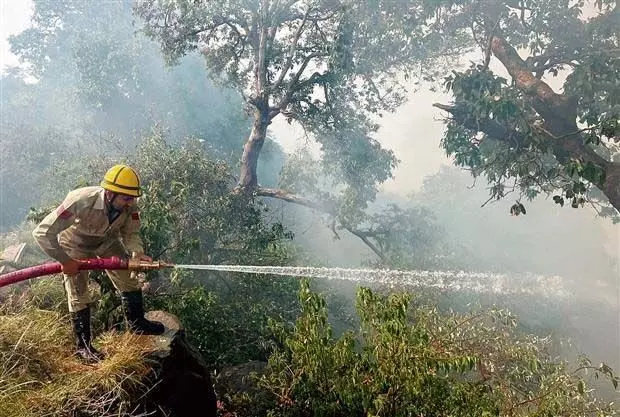 Jammu and Kashmir: छह जिले जंगल और शहरी इलाकों में लगी आग से प्रभावित