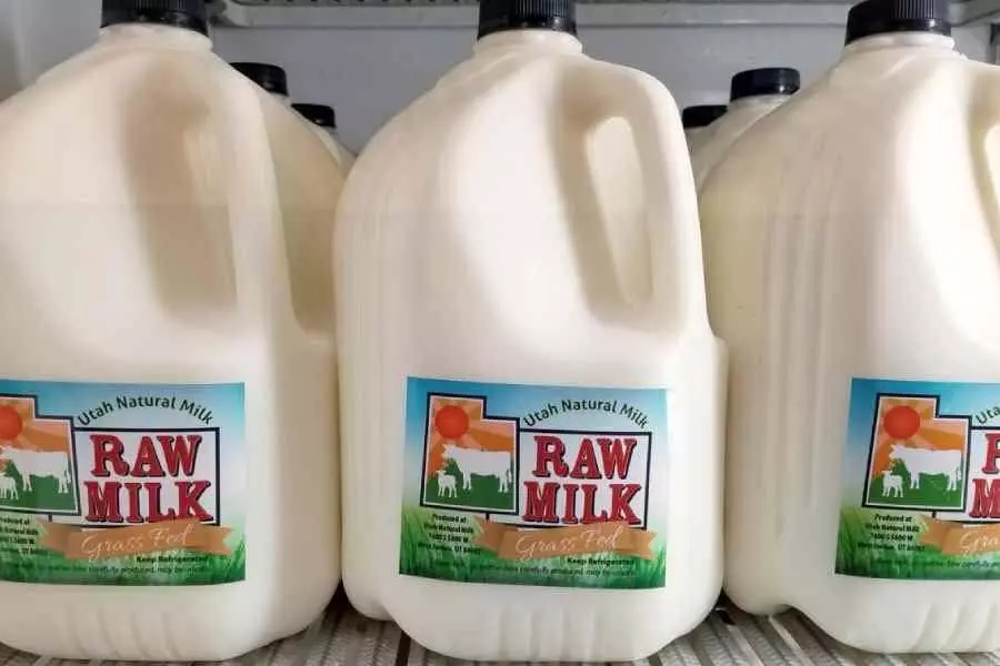 Editor: स्वास्थ्य के प्रति नवीनतम रुझान में अनपाश्चुरीकृत दूध के लाभों पर प्रकाश डाला गया