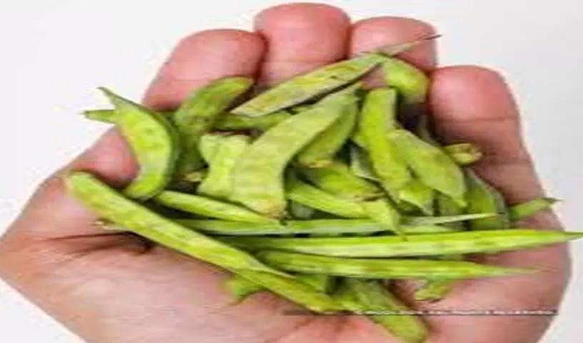 Green cluster beans : अच्छी मात्रा में कैल्शियम और फास्फोरस हरी ग्वार की फली