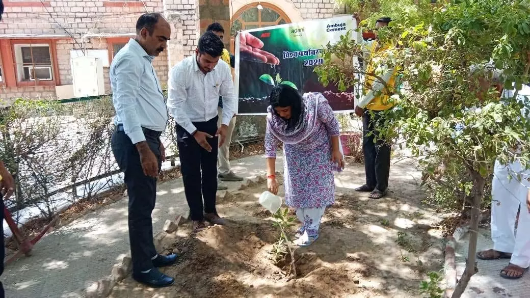 Jalore : विश्व पर्यावरण दिवस पर जिला कलक्टर ने किया वृक्षारोपण