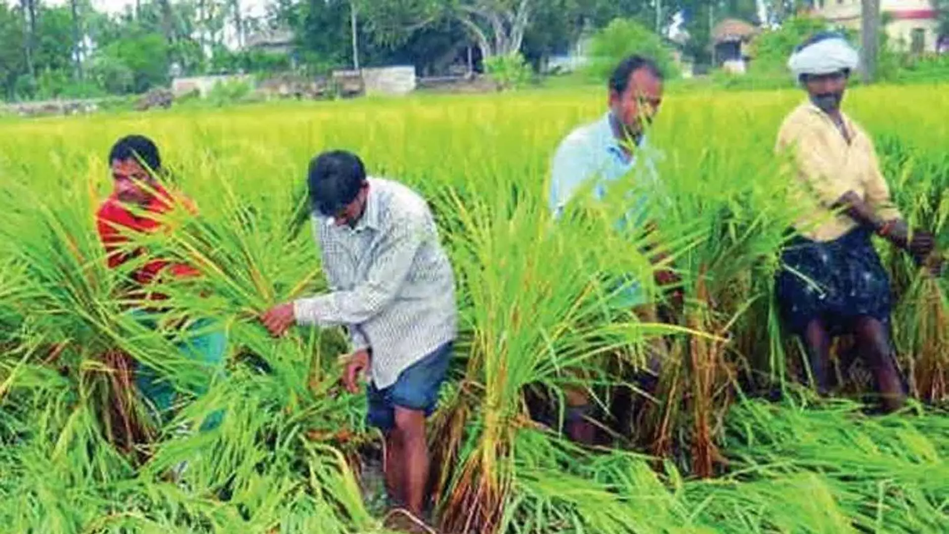 Amaravati के किसानों को नायडू की वापसी से नए सिरे से निर्माण की उम्मीद