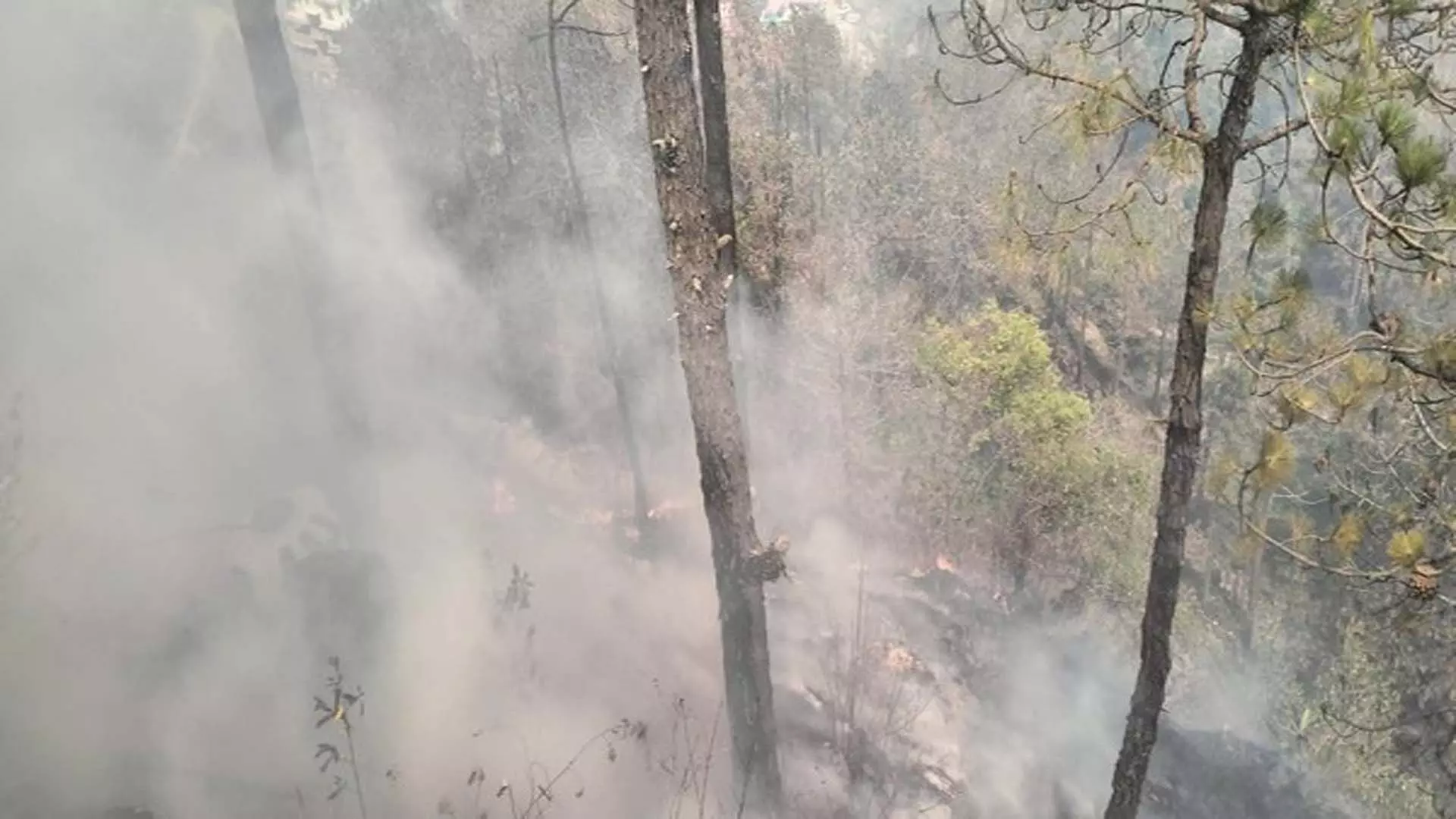 Himachal Pradesh: 1,500 से अधिक वन आग की घटनाएं दर्ज, 13,000 हेक्टेयर जंगल को नुकसान