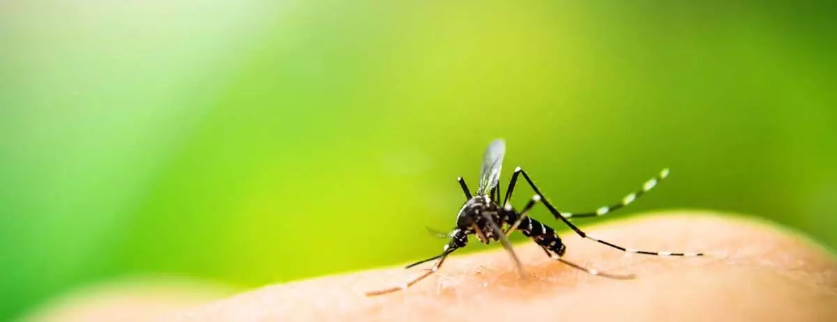 ASSAM NEWS :  सोनितपुर जिला स्वास्थ्य विभाग ने एक महीने तक चलने वाला मलेरिया रोकथाम जागरूकता अभियान शुरू