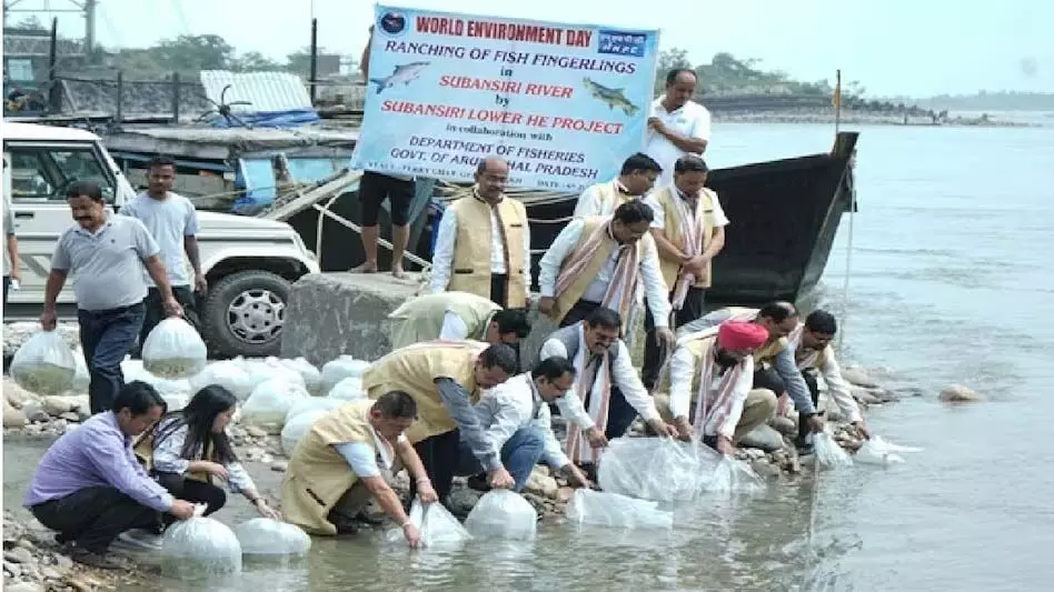 ASSAM NEWS : मत्स्य प्रबंधन को मजबूत करने के लिए सुबनसिरी नदी में 6000 भारतीय मेजर कार्प छोड़े गए