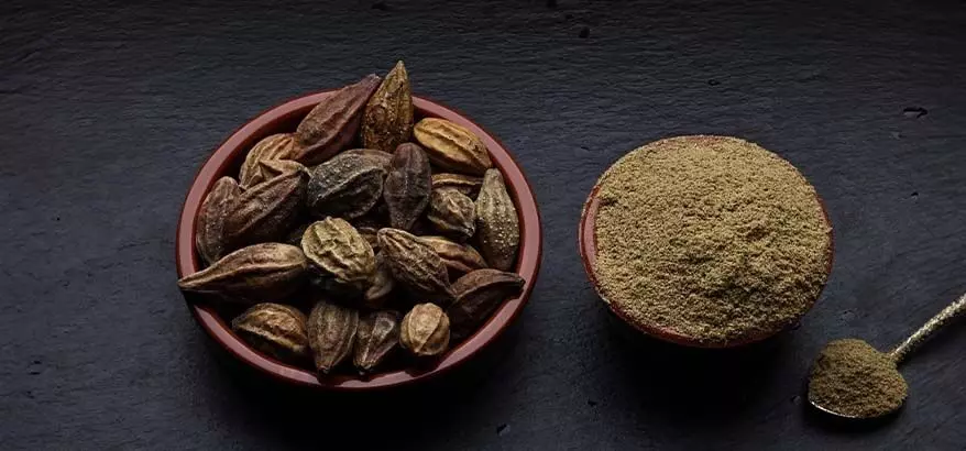 Triphala Powder Benefits: त्रिफला का चूर्ण कई औषधीय गुणों का है भंडार जानिए इसके फायदे