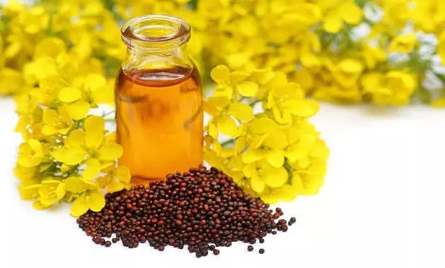 Benefits of Mustard Oil: त्वचा और बालों के लिए सरसों के तेल के जानिए लाभ