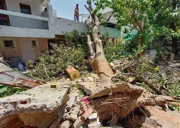 handigarh: सेक्टर 36 स्थित घर पर पेड़ गिरने से दंपत्ति बाल-बाल बचे