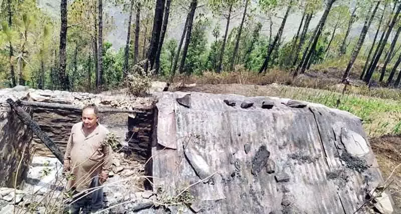 Forest fire ने चपेट में ली गोशाला