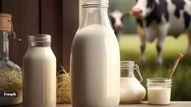 Lifestyle: अगर आप सोचते हैं कि दूध पीने से हड्डियां मजबूत होती तो आप गलत है