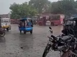 Bharatpur: हवाओं के साथ आधे घंटे हुई तेज बरसात,भरतपुर जिले में बदला मौसम का मिजाज