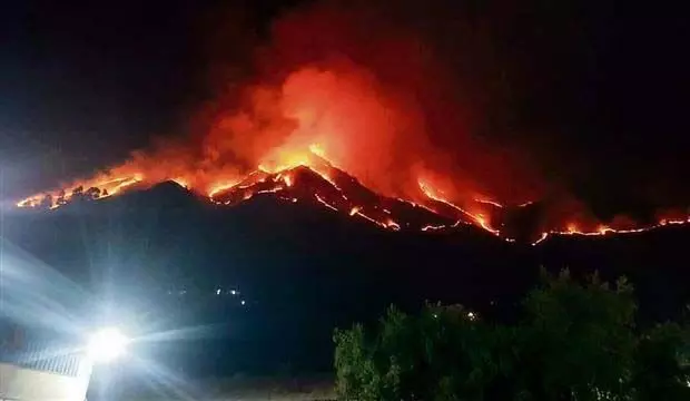 Himachal Pradesh : जंगल की आग पर काबू, हिमाचल सरकार ने वायुसेना की मदद लेने से किया इनकार