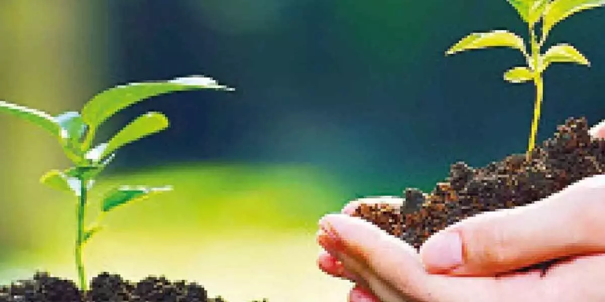 agriculture for the environment : पर्यावरण के लिए सबसे लाभदायक एग्रीकल्चर पर जाने गहरी समझ