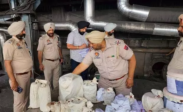 Punjab News: 62 मामलों में जब्त की गई दवाएं पेपर मिल में नष्ट