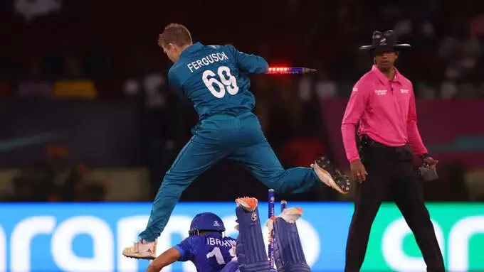 T20 World Cup: एक और बड़ा उलटफेर, अफगानिस्तान ने किया उलटफेर, न्यूजीलैंड को 84 रन से हराया, राशिद-गुरबाज चमके