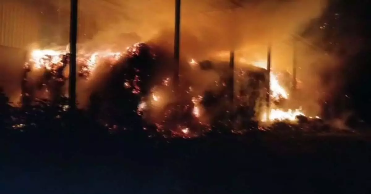 Odisha :  मलकानगिरी जिले में केंदू पत्तों के गोदाम में आग लग गई
