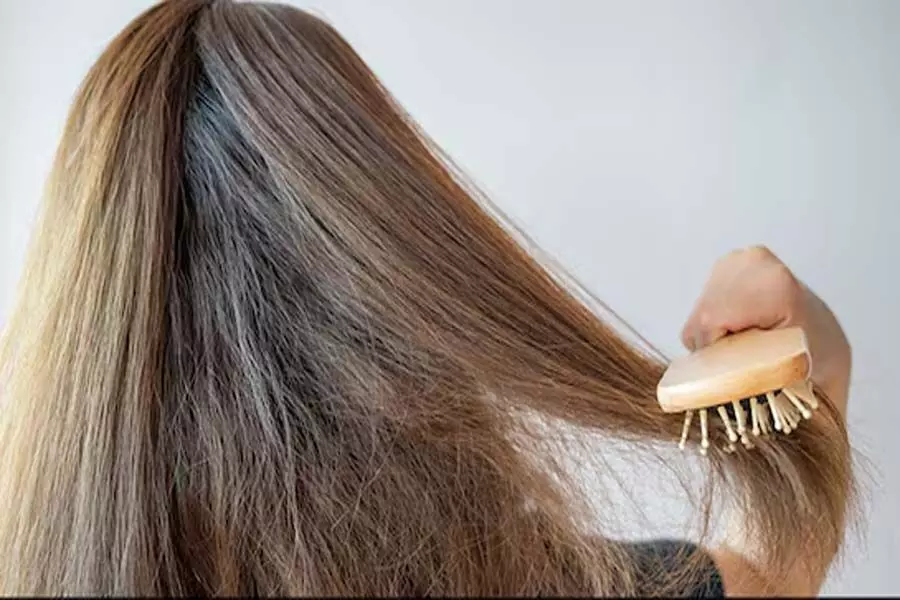 Hair Care: फ्रिजी बालों से ना हों परेशान, घर पर बनाएं ये हेयर जेल