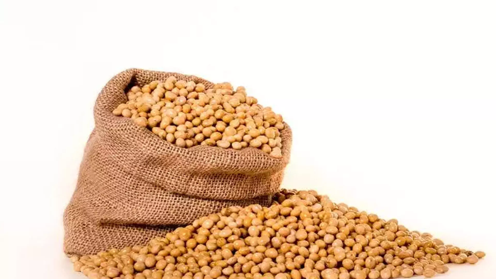 Soybean:सोयाबीन का अधिक सेवन बन सकता हैं आपके लिए खतरा जानें नुकसान
