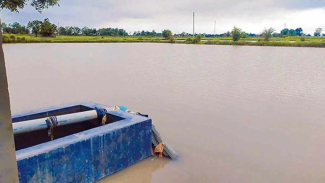 Punjab News: अमृतसर जिला प्रशासन ने बाढ़ नियंत्रण कक्ष स्थापित किया