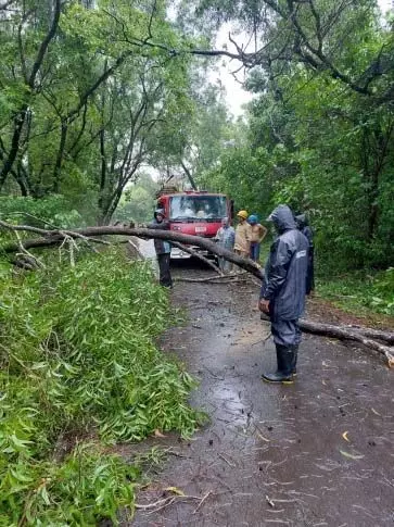Goa News: पहली बारिश से 40,000 रुपये की संपत्ति नष्ट