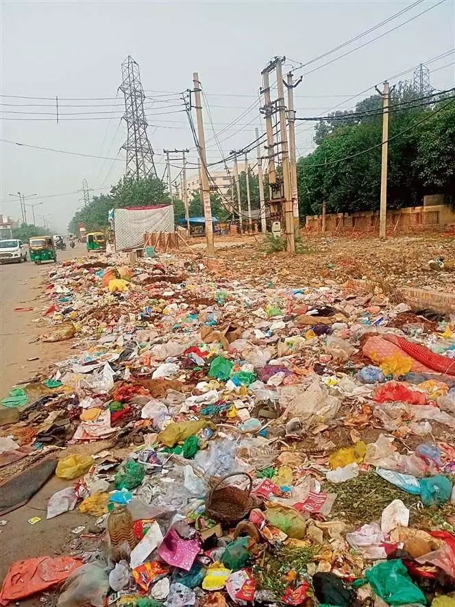 Haryana :  फरीदाबाद नगर निगम कचरा निपटान के लिए नए सिरे से टेंडर जारी करेगा