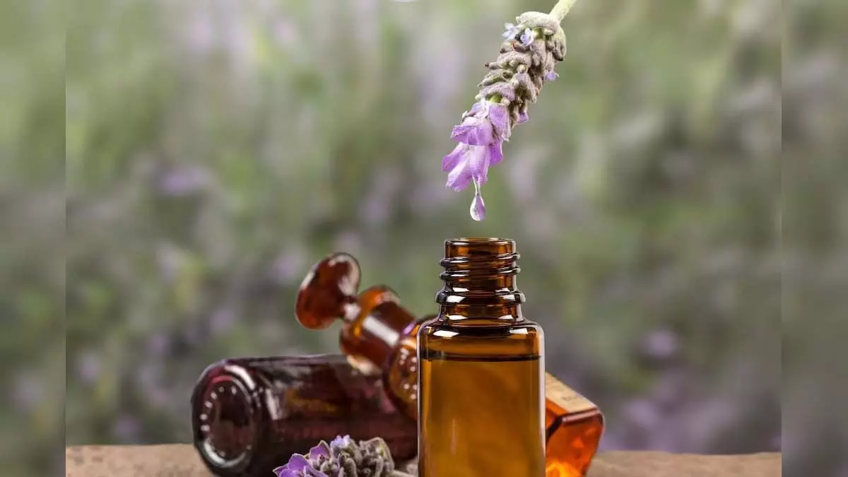 Perfume Essential Oils: नैचुरल परफ्यूम हैं ये एसेंशियल ऑयल