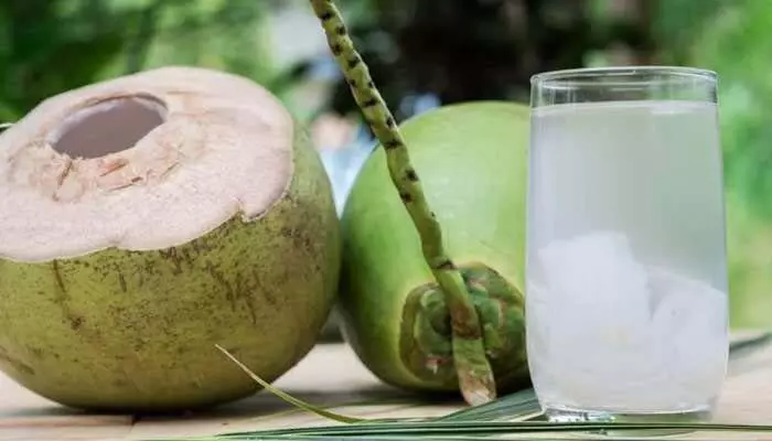 Coconut water : इस बार बनाएं ये स्पेशल शरबत, गर्मी की हो जाएगी छुट्टी