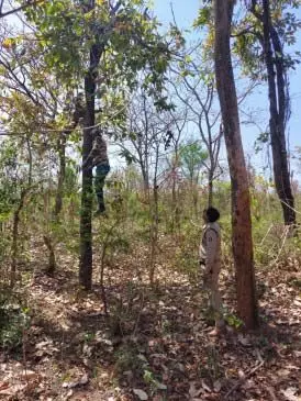 Childs corpse on a tree: जंगल में पेड़ पर लटकी मिली बच्चे की लाश