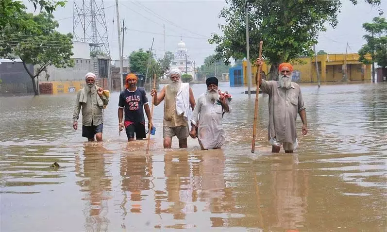 Punjab News: सरकार की अनदेखी से बाढ़ प्रभावित दोआबा ने आप के खिलाफ वोट दिया