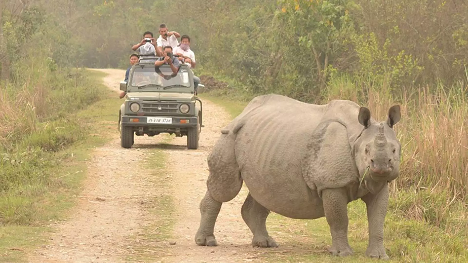 Assam: में घूमने लायक 5 प्रसिद्ध राष्ट्रीय उद्यान