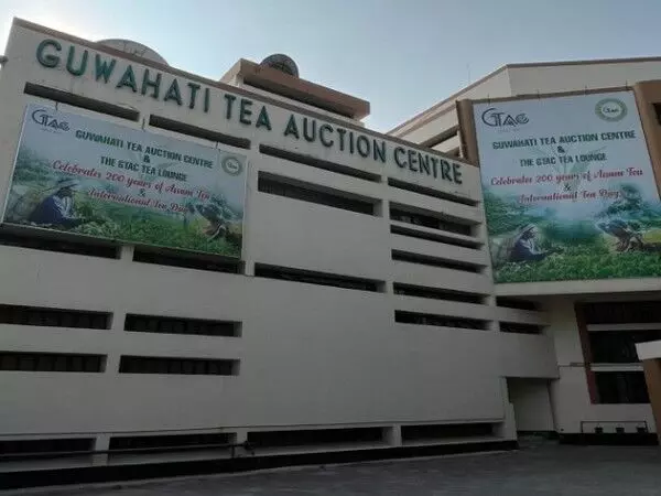 Assam: गुवाहाटी चाय नीलामी केंद्र ने 14 महीनों में 3346 करोड़ रुपये मूल्य की 179 मिलियन किलोग्राम से अधिक चाय बेची