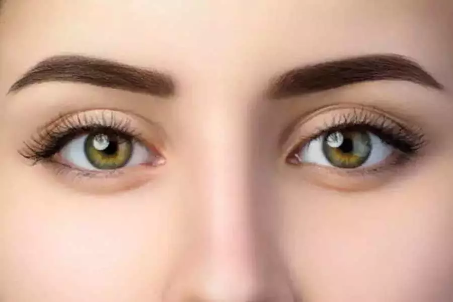 Thick Eyebrows: पतली आईब्रो को घना बनाने के लिए अपनाएं ये 5 नेचुरल उपाय