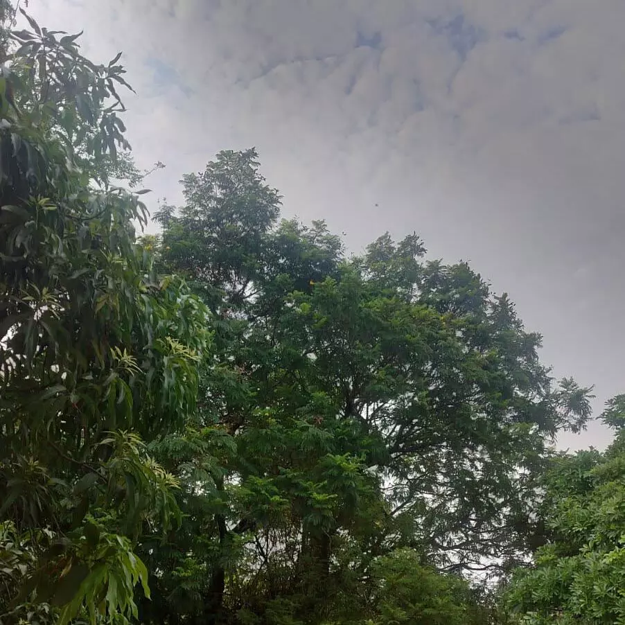 Chhattisgarh: भारी बारिश का अलर्ट 24 घंटे के भीतर