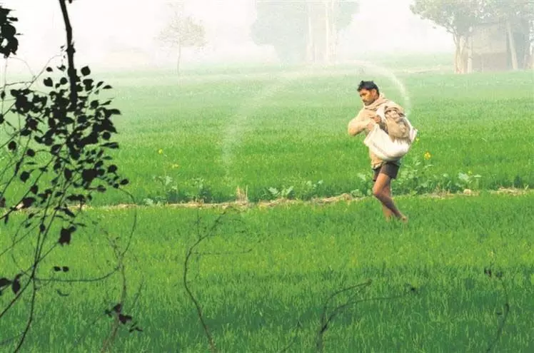 Haryana  :  किसानों ने लंबित फसल नुकसान के मुआवजे की मांग की