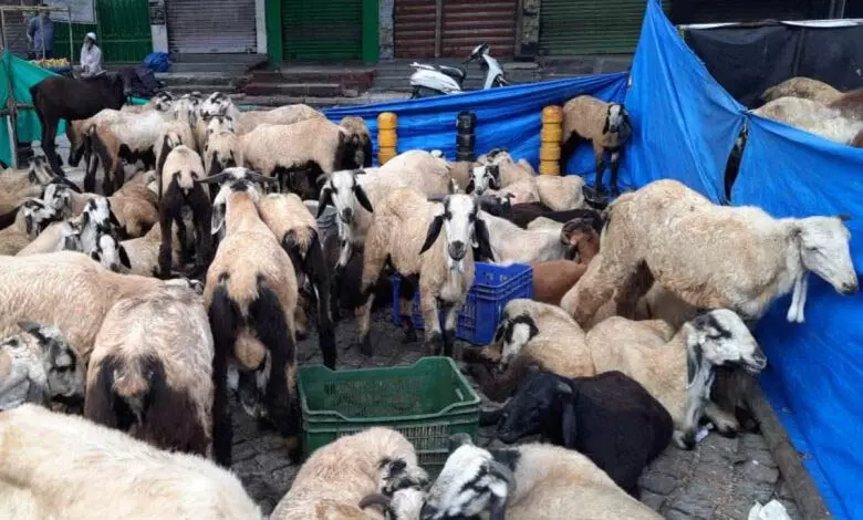 Hyderabad: बकरीद से पहले हैदराबाद में कुर्बानी सेवाएं शुरू