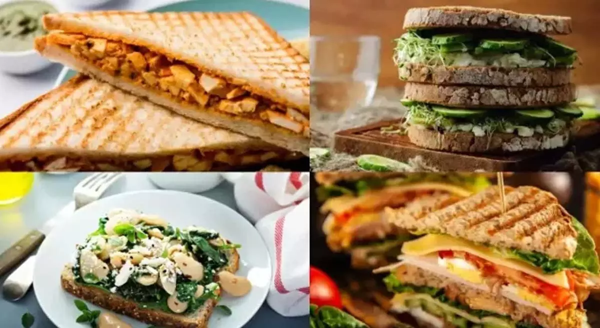 eating sandwiches, : सैंडविच खाकर भी घटाया जा सकता है वजन जानें तरीका