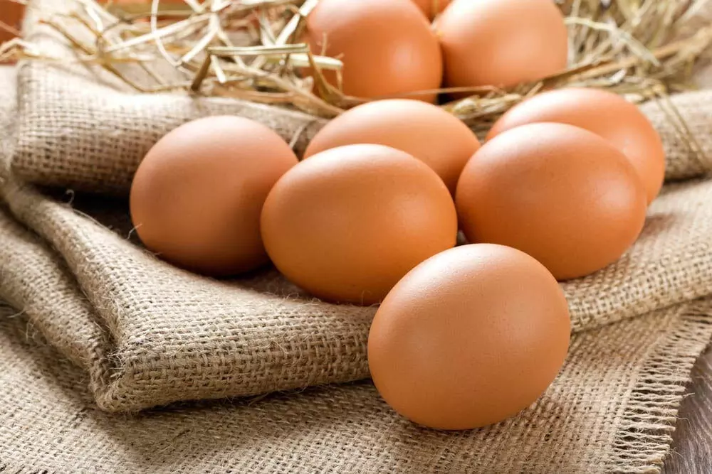Lifestyle : आखिर अंडों को फ्रिज में क्यों नहीं रखना चाहिए