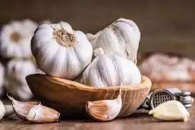 Garlic benefits: जाने कैसे लहसुन खाने से कई जान लेवा बीमारी ठीक हो सकती है