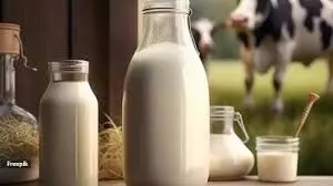 Raw Milk Lassi: जानिए कच्ची दूध की लस्सी कैसे बनती हैं