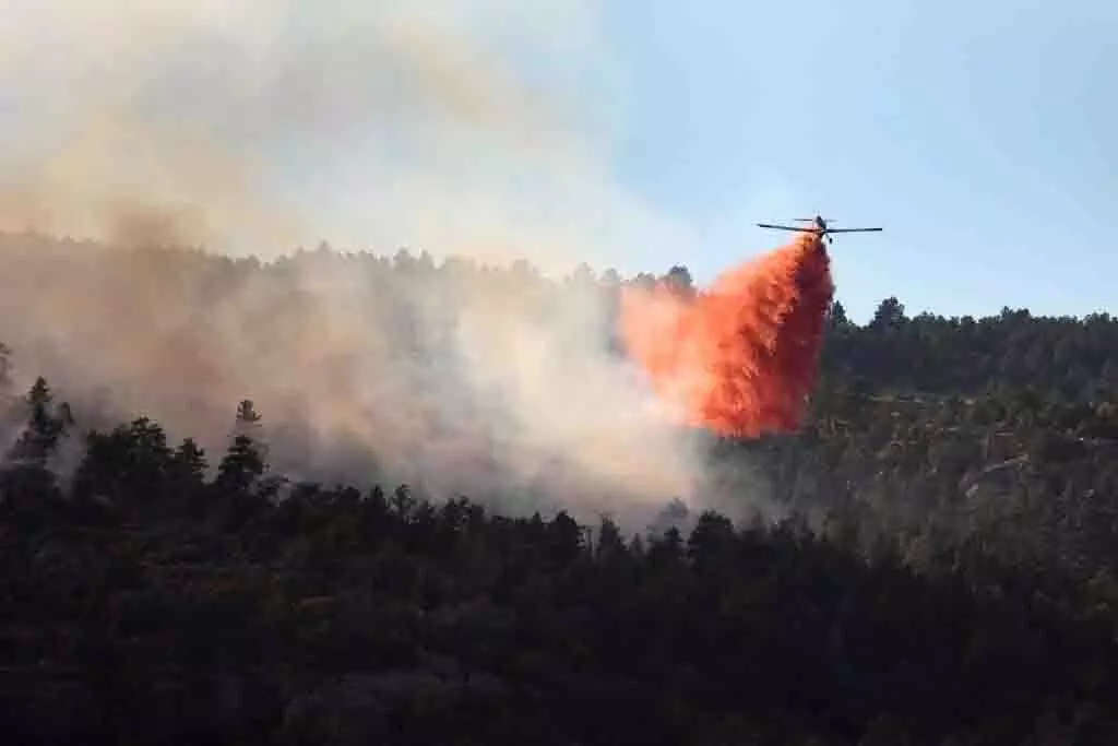 World: हवाई जहाज यूरोप की जंगल की आग की समस्या का समाधान नहीं कर सकते