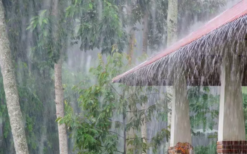 Kerala news : केरल के सभी जिलों में बारिश की चेतावनी