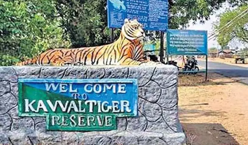 Hyderabad: वन विभाग कवाल टाइगर रिजर्व में घास के मैदान विकसित करेगा
